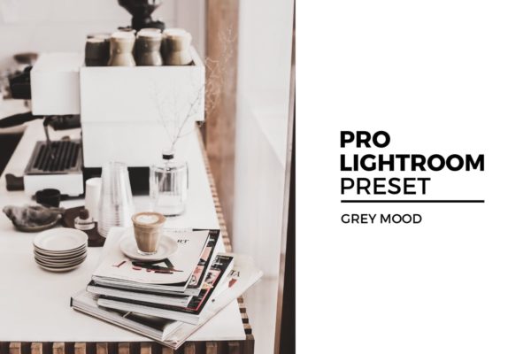 照片后期浅色调LR调色预设 Grey Mood Lightroom Preset