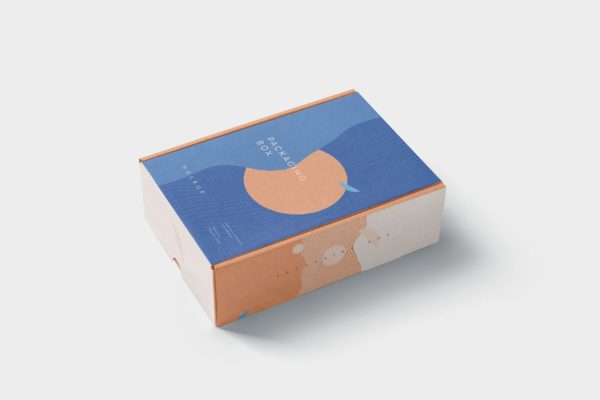 矩形包装盒设计效果图多角度预览样机 5 Rectangular Packaging Box Mockups