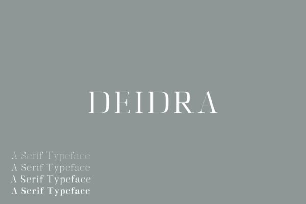 Diedra衬线字体系列字体家族 Diedra Serif Font Family Pack
