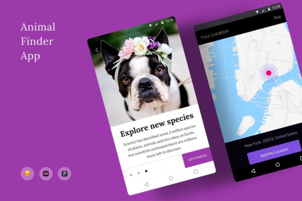 动物防丢失位置搜索APP应用UI界面设计普贤居精选模板 Animal Finder App