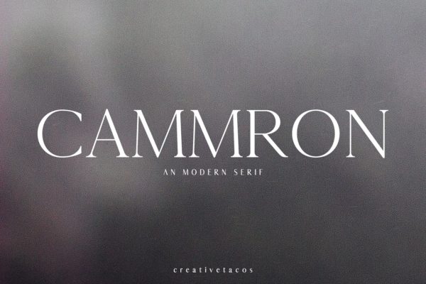 排版印刷网页设计适用的英文衬线字体家族 Cammron Serif Font Family