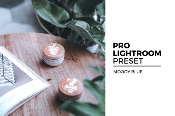 优雅蓝照片后期调色LR预设 Moody Blue Lightroom Preset