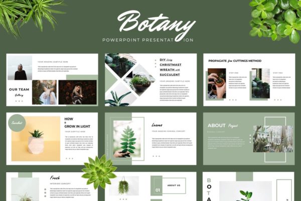 环境景观主题企业PPT幻灯片模板 Botany Powerpoint Presentation