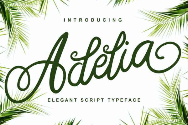优雅笔画线条英文草书字体下载 Adelia &#8211; Elegant Script Typeface