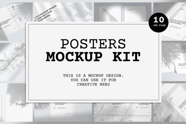 10个不同视角植物阴影背景海报设计效果图样机16图库精选 Poster Mockup Kit