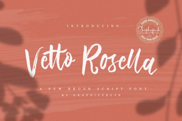优雅女性书法艺术英文字体下载 Vetto Rosella &#8211; Handwritting Font