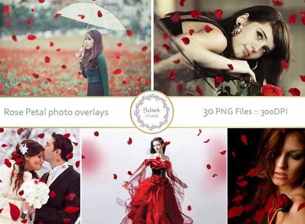 30个创意照片玫瑰花瓣叠加层素材下