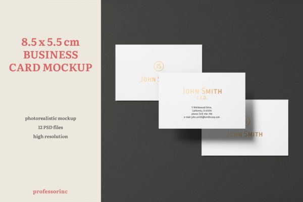 高端企业名片设计效果图普贤居精选套装 8.5&#215;5.5cm Landscape Business Card Mockup