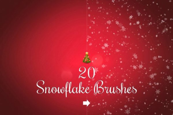 20款圣诞节、冬季雪花笔刷合集  20 Snowflake brushes