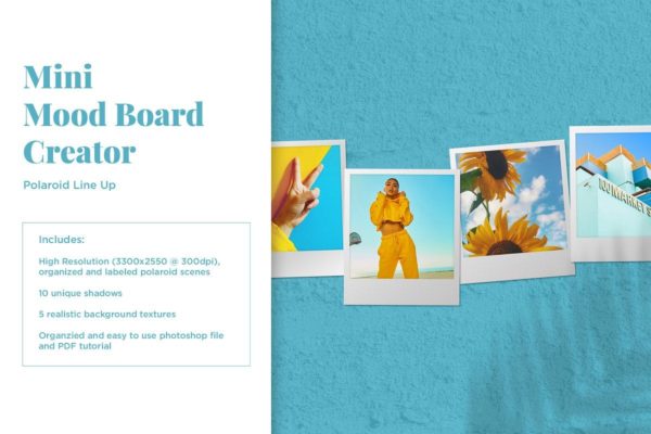 照片墙设计预览样机模板 Mini Mood Board: Polaroid Line Up