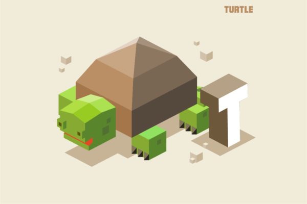 “T”乌龟动物词汇字母2.5D插画素材 T for turtle, Animal Alphabet