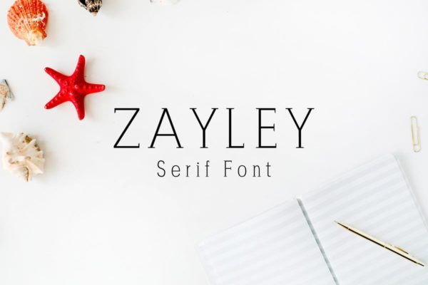 现代独特设计风格英文标语衬线字体 Zayley Serif Regular Font