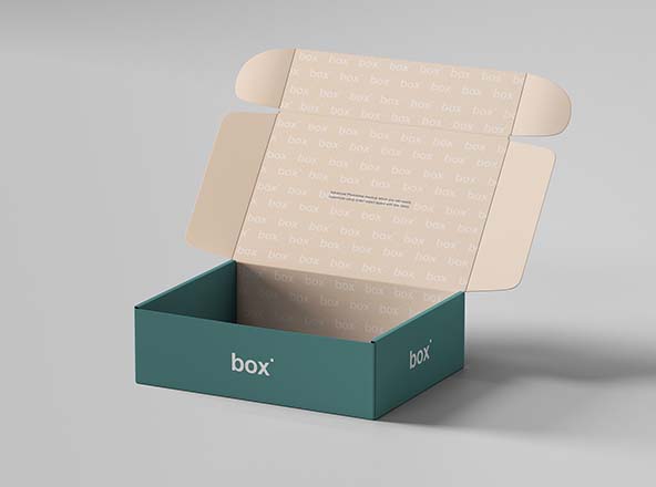 鞋盒包装设计展示素材中国精选模板素材 Pinch Lock Box Mockup