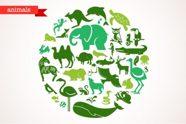 40种动物矢量图标 Animals &#8211; set of 40 icons