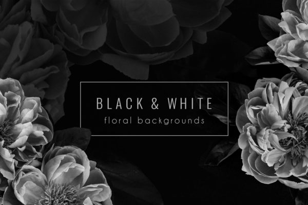 黑色背景花卉场景样机 Floral Background PNG Stock Photos