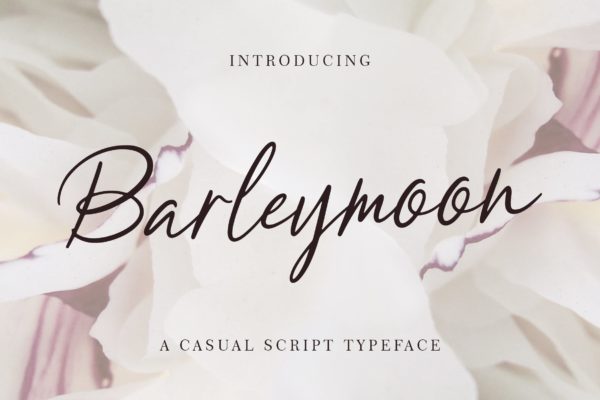 简约优雅英文钢笔书法字体 Barleymoon Beauty Script Font