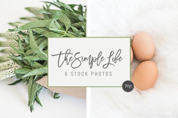简约生活场景样机模板 Simple Life Stock Photos + 4 FREE
