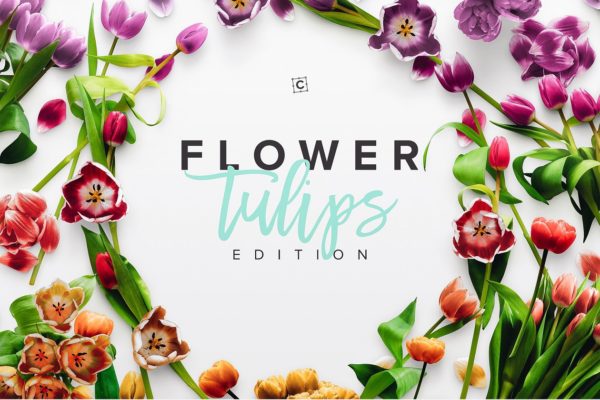 郁金香花卉场景样机 Flower Tulips Edition &#8211; Custom Scene[1.18GB]