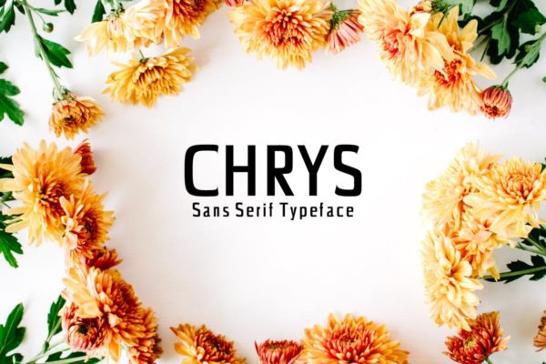 极简现代设计风格的无衬线字体套装 Chrys Sans Serif Font Family Pack