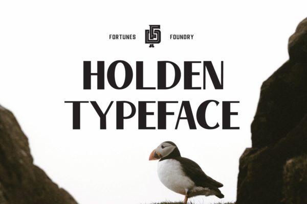 复古排版印刷风格英文无衬线字体 Holden VIntage Type