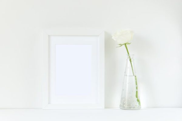 极简主义白玫瑰装饰画框样机 White