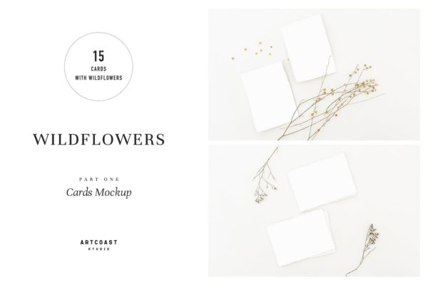 野花装饰背景卡片贺卡设计效果图样机 Wildflowers Cards Mockup