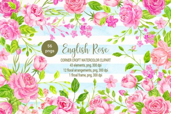 美丽浪漫的英国传统玫瑰剪贴画合集 Watercolor English Rose Clipart