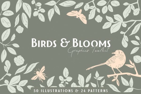 鸟类和花朵矢量图形套装 Birds &amp; Blooms Graphics Kit