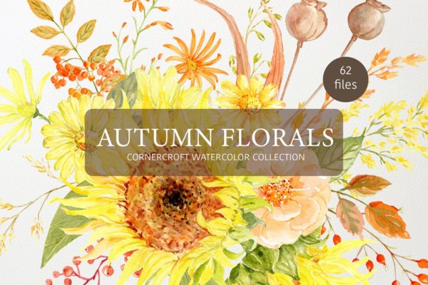 秋天花卉水彩绘画艺术设计素材 Watercolor Autumn Florals Collection