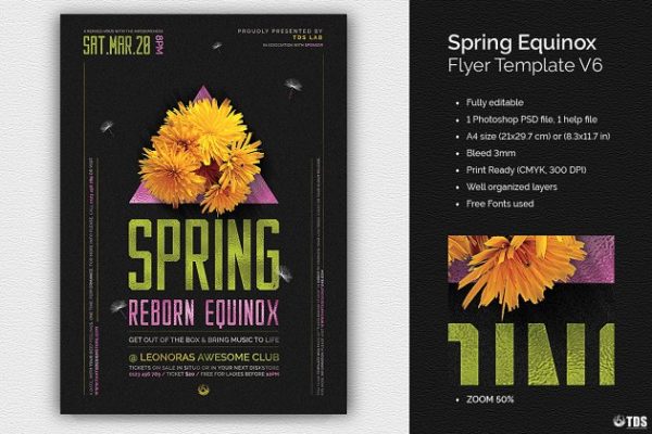 春天花卉元素活动海报PSD模板V6 Spring Equinox Flyer PSD V6