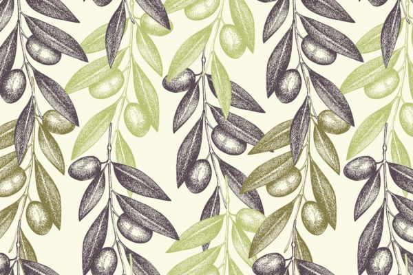 4款橄榄图案纹理 4 Vintage Olive Patterns