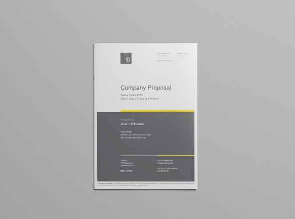 企业融资计划书/业务计划书设计模板 Company Proposal Template