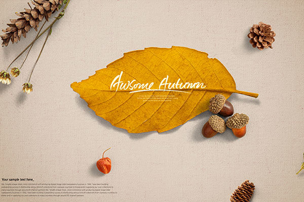 秋天黄叶秋季主题海报图片设计素材