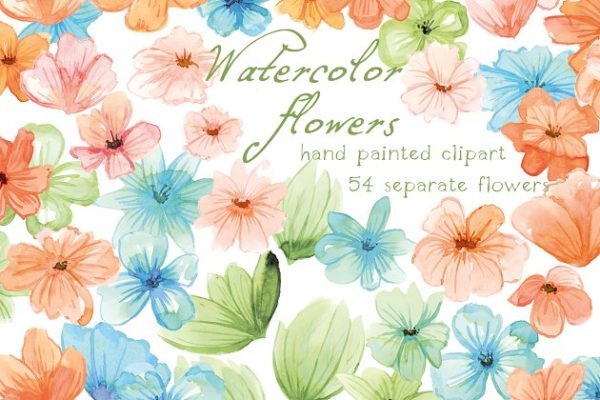 浅色调水彩花卉插画素材 Watercolor Flowers, Floral