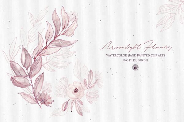 月光花花语水彩手绘剪贴画16设计网精选PNG素材 Moonlight Flowers