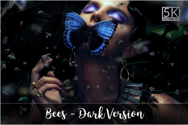 5K高分辨率逼真蜜蜂照片叠层背景素材 5K Bees Overlays &#8211; Dark Version