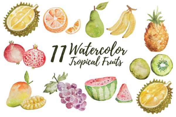 11款热带水果水彩插画设计素材 11 Watercolor Tropical Fruits Illustration
