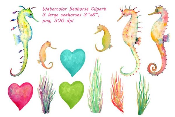 手绘海洋生物水彩海马插画 Watercolor Seahorse Clipart