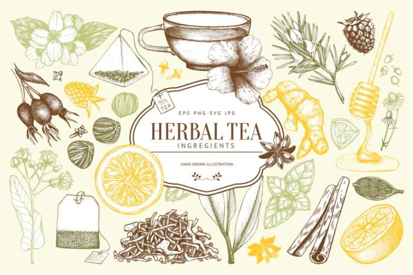 老式凉茶草药成分矢量插图合集 Vector Herbal Tea Ingredients Set
