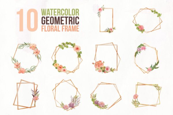 10个几何水彩花卉框架插图 10 Watercolor Geometric Floral Frame Illustration
