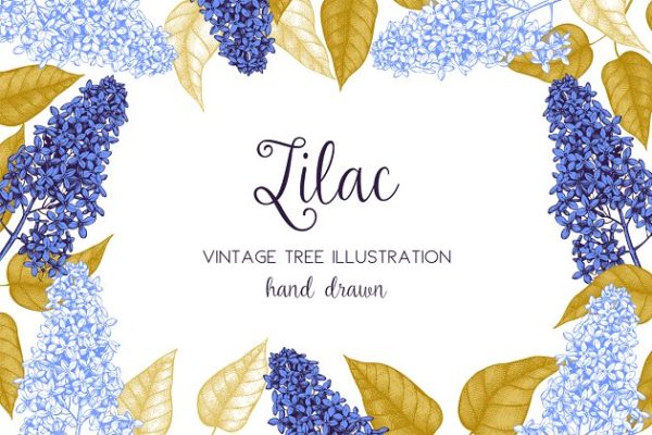 矢量淡紫色植物花卉插图集 Vector Lilac Illustrations Set