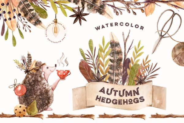 刺猬与秋天水彩素材集 Watercolor Autumn Hedgehogs