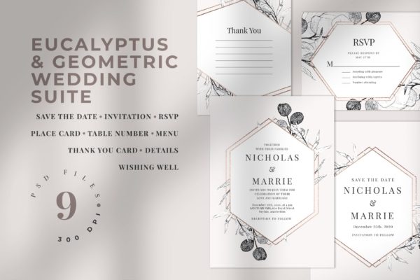 桉树和几何图形手绘图案背景婚礼邀请函设计套件 Eucalyptus &amp; Geometric Wedding Suite
