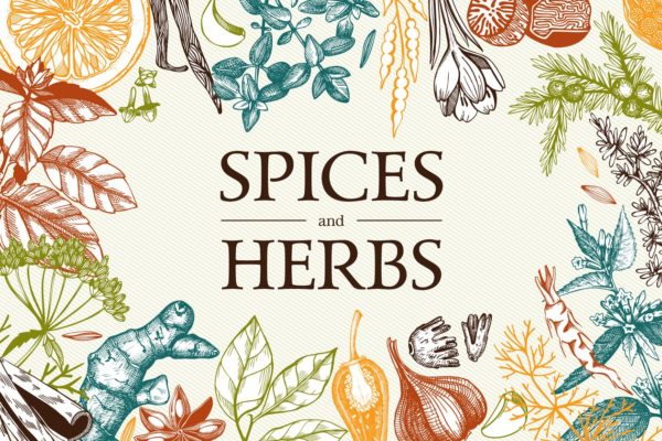 厨房香料及香草矢量插画 Vector Kitchen Spice &amp; Herbs Set