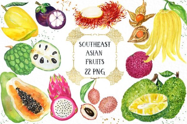 亚洲热带水果水彩剪切画 Tropical Asian fruits watercolor