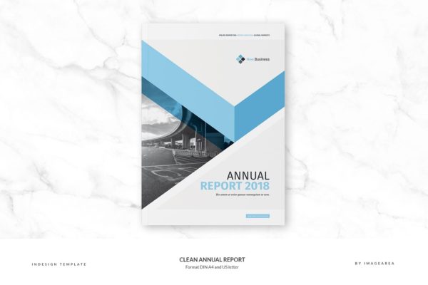 简洁专业的年报模板 Clean Annual Report