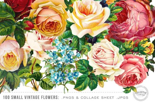 100张复古花卉插画剪贴画 100 Small Vintage Flower Graphics