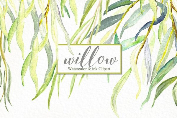 柳枝水彩剪贴画 Willow branches watercolor clipart