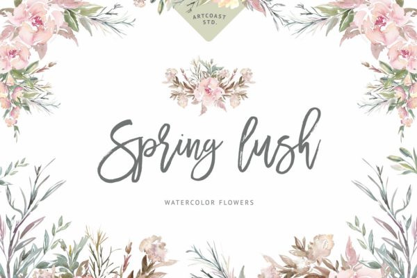 春天优雅花卉元素手绘素材合集 Spring Lush Flowers