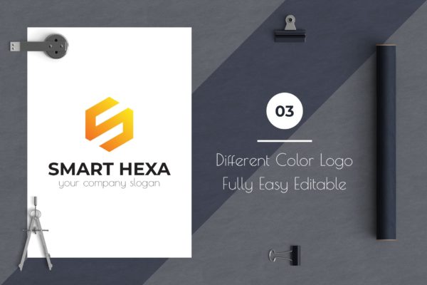 S字母图形Logo设计16设计网精选模板 Smart Hexa Awesome Logo Template